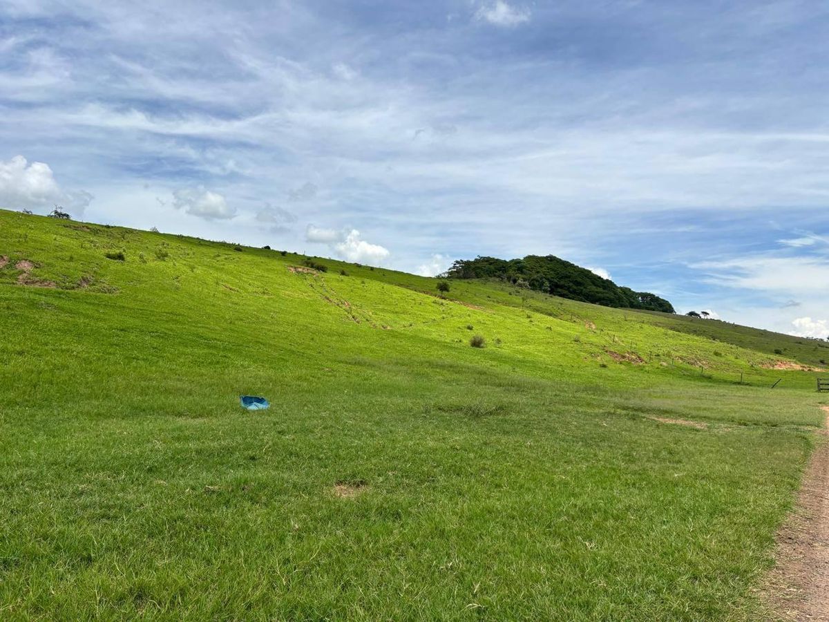 Rural › Fazenda - Fazenda em Marília - à venda - FLEX CONSULTORIA IMOBILIÁRIA LTDA