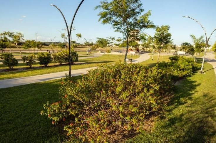 Lote/Terreno em