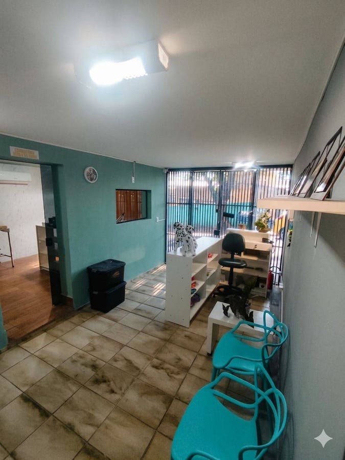 Comercial 411m² Vila Isabel Eber, Jundiaí: 10 salas, quintal e escritório - Comercial em Vila Isabel Eber, Jundiaí - para locação - Entry Imob