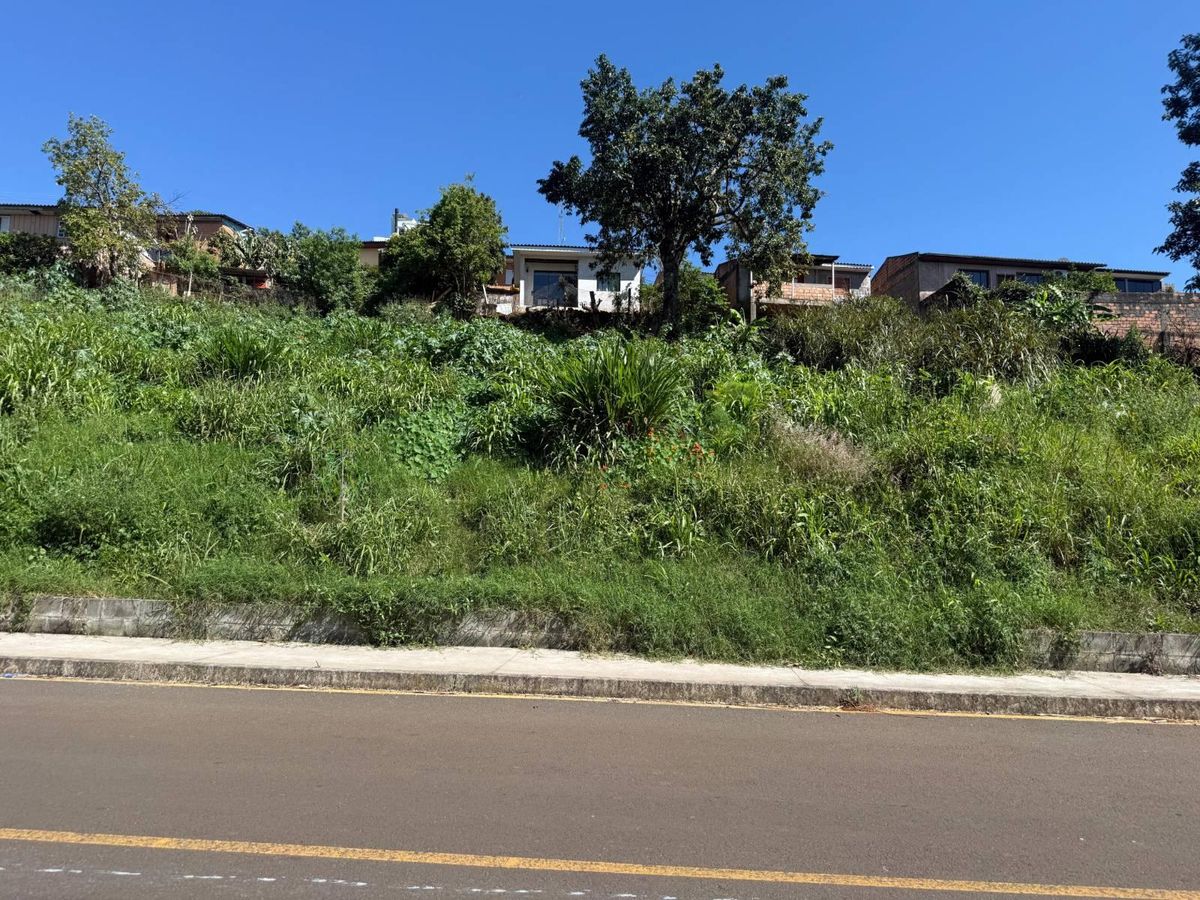 Área de vegetação com casas ao fundo sob céu claro.