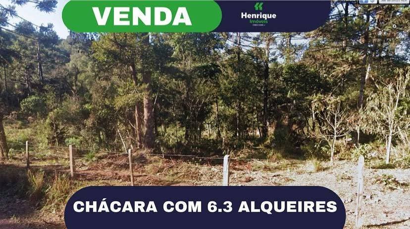 Chácara - Pinhão - Chácara em Pinhão - à venda - Henrique soluções e produtos imobiliários