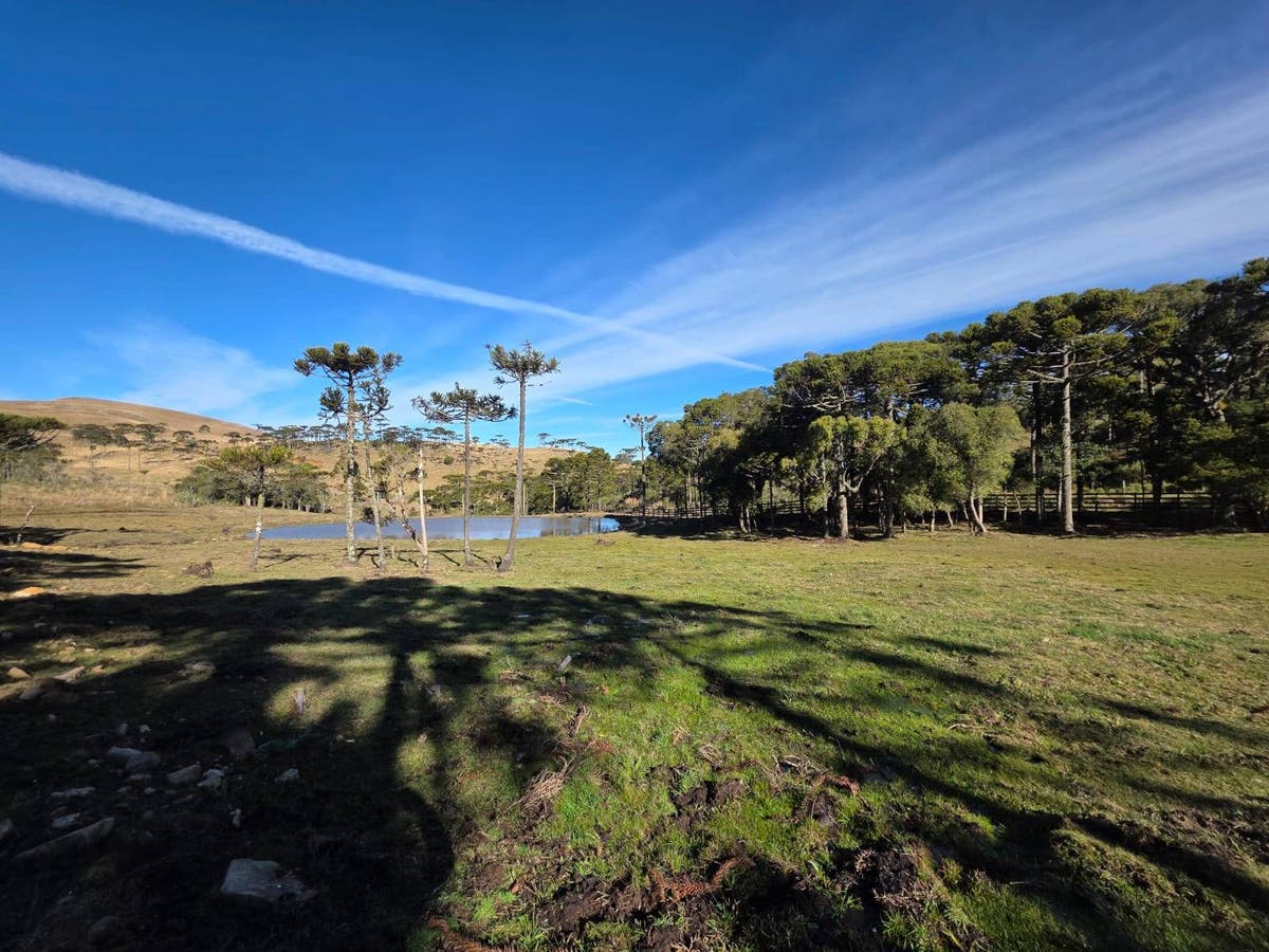 CHÁCARA 2,7 HECTARES - Chácara em Rural, São Joaquim - à venda - Mariano Imóveis
