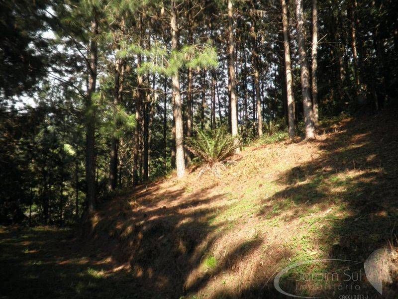 Terreno Urbano - Terrenos em Sumaré, Rio do Sul - à venda - Jardim Sul Imobiliária
