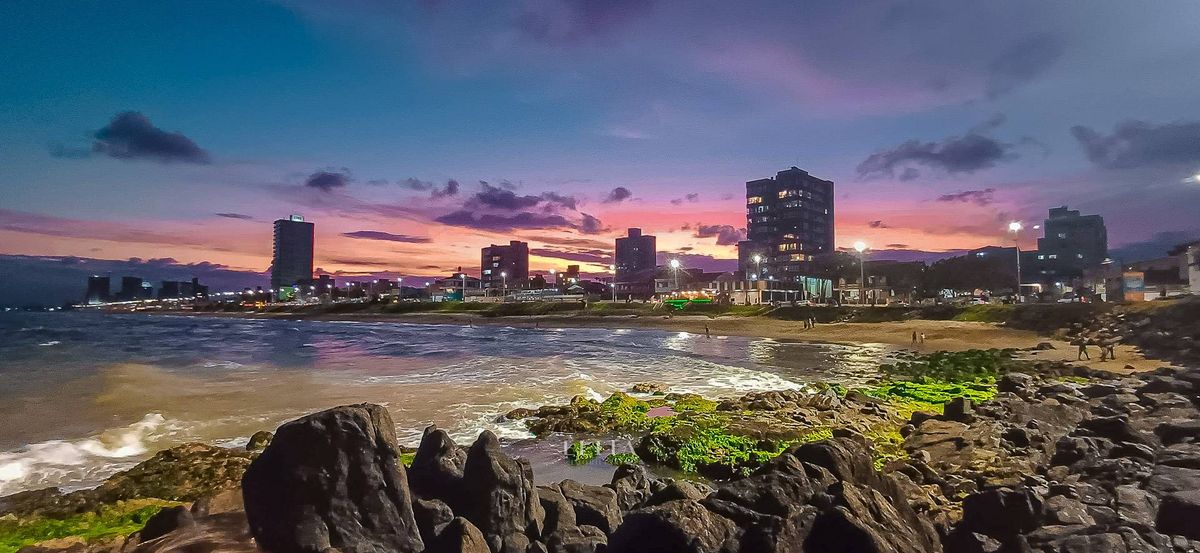 Wellness Real Estate: A ciência que prova por que investir em saúde é o negócio mais lucrativo de 2026