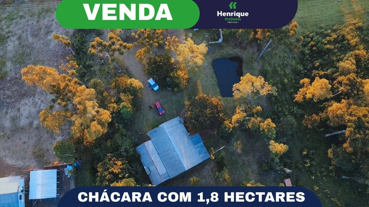 Chácara, Zona Rural - Pinhão - Chácara em Zona Rural, Pinhão - à venda - Henrique soluções e produtos imobiliários