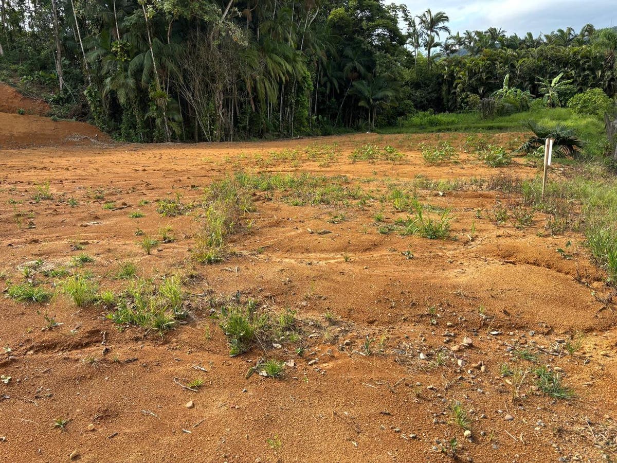 Chácara em Guaramirim Beira Rio - Chácara em Beira Rio, Guaramirim - à venda - Guara Imóveis Ltda