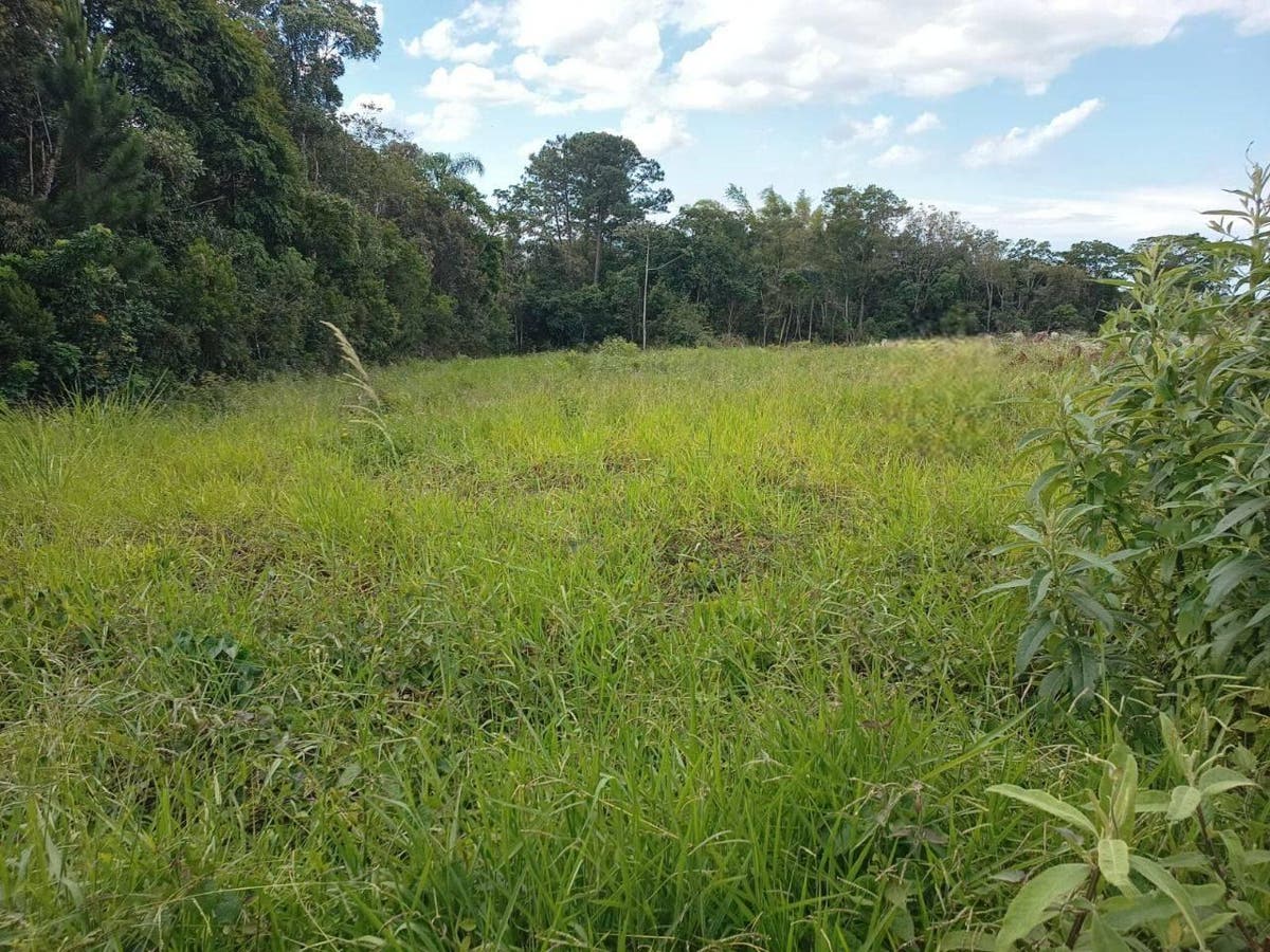 Lote/Terreno, Sertão do Maruim - São José - Lote/Terreno em Sertão do Maruim, São José - à venda - Conceito Imóveis