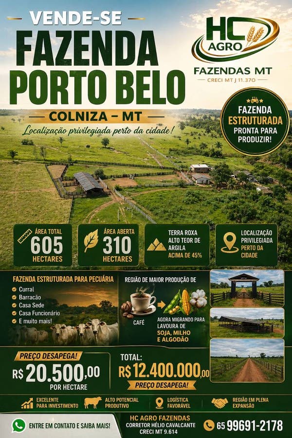 Faz à Venda C/ 605ha - Argila Acima 45% - Colniza MT - Fazenda em Zona Rural, Colniza - à venda - HC NEGÓCIOS IMOBILIÁRIOS