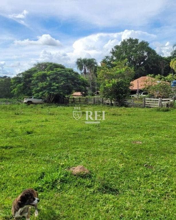 Fazenda com 1 dormitório à venda, 3872000 m² por R$ 10.000.000,00 - Centro - Ivolândia/GO - Fazenda em Ivolândia - à venda - IMOBILIARIA REI EMPREENDIMENTOS S/S LTDA