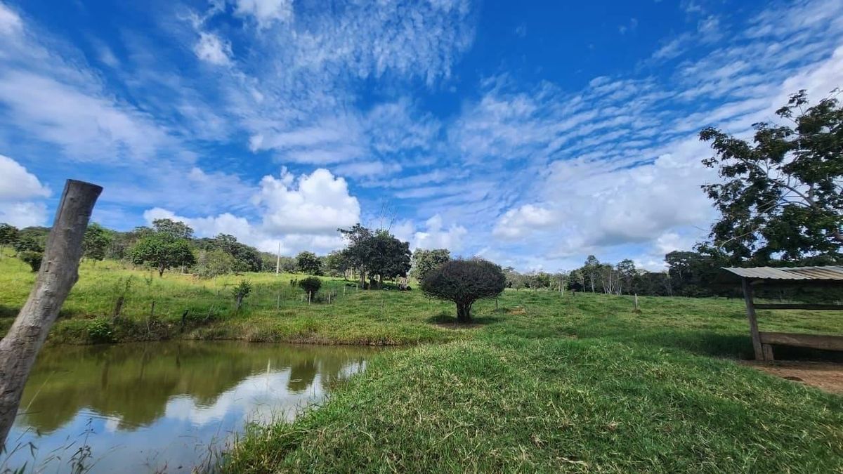 FAZENDA ÁREIAS - Lote/Terreno em Santo Antônio do Descoberto - à venda - CASA GOLD IMÓVEIS