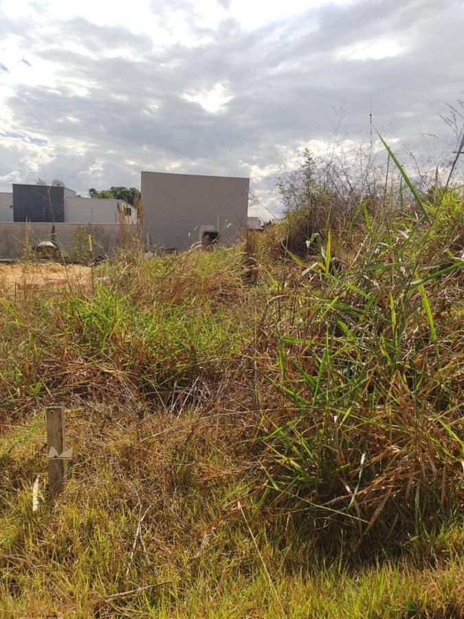 Lote | Terreno em Residencial Jardim Botânico, Sorriso