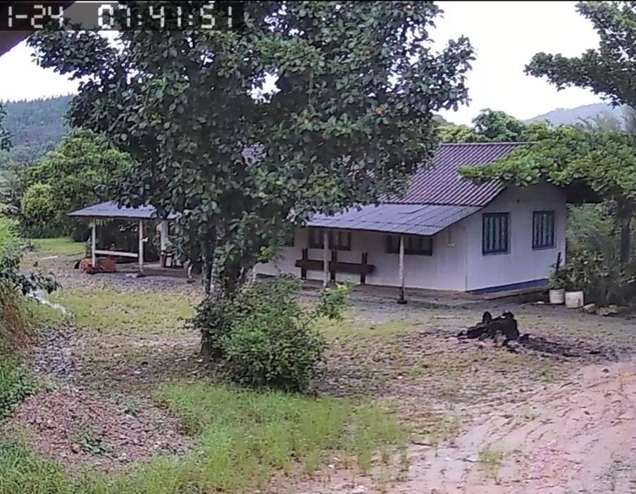 Sítio, Rio Branco - Guaramirim - Sítio em Rio Branco, Guaramirim - à venda - MAVIC IMÓVEIS