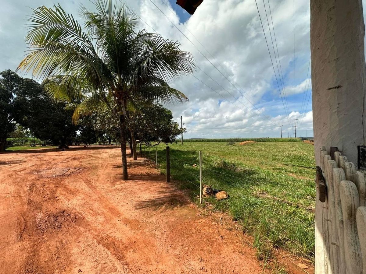 ÁREA DE 40HA TODA EM PASTO COM ÁGUA NOS FUNDOS - Lote/Terreno em Sinop - CASA GOLD IMÓVEIS