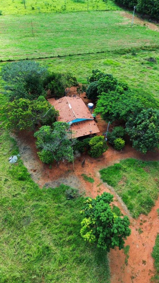 Fazenda - Quartel Geral - Fazenda em Quartel Geral - à venda - Multiplus Negocios e Imoveis LTDA