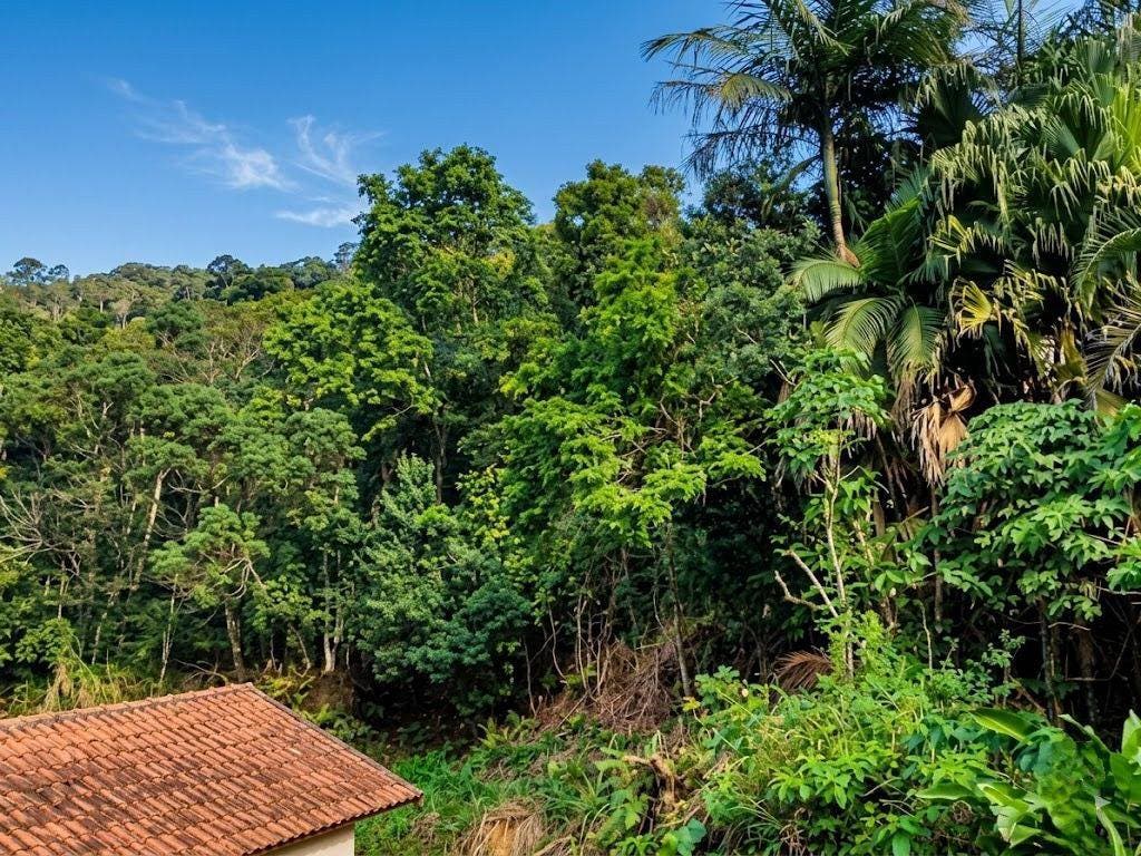 Chácara no Bomplandt em Corupá - Lote/Terreno em Bomplandt, Corupá - à venda - CONSTRUTORA O.R. LTDA