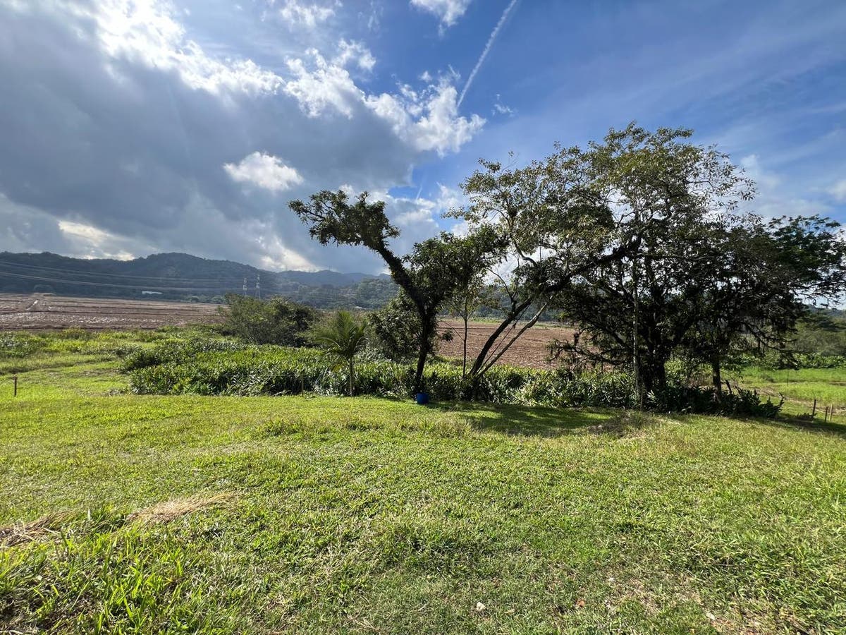 Lote/Terreno à Venda, Belchior Baixo - Gaspar - Lote/Terreno em Belchior Baixo, Gaspar - à venda - Tomio Imoveis Ltda
