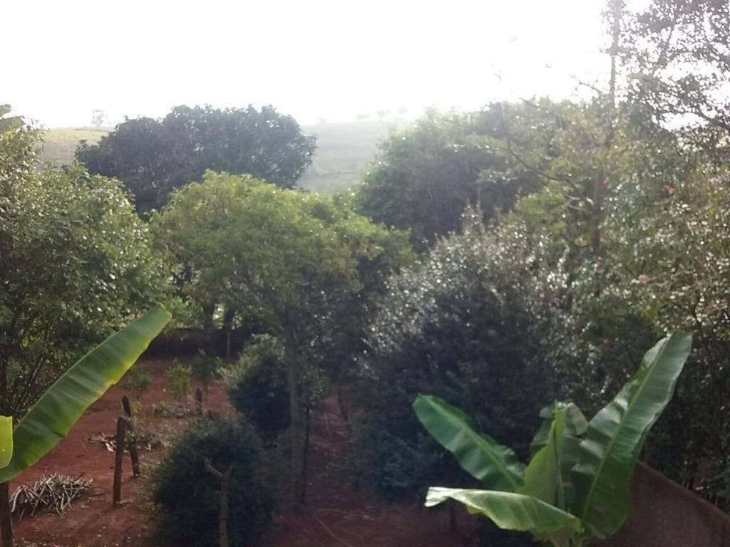🌿, Chácara, Venda , 450.000,00 , Pouso Alegre - Mg, com 1 Quarto, 1 Suíte, 1 Banheiro, 644 ~ Ch0004 - Chácara em Pouso Alegre - à venda - IMOBILIÁRIA VLT IMÓVEIS LTDA