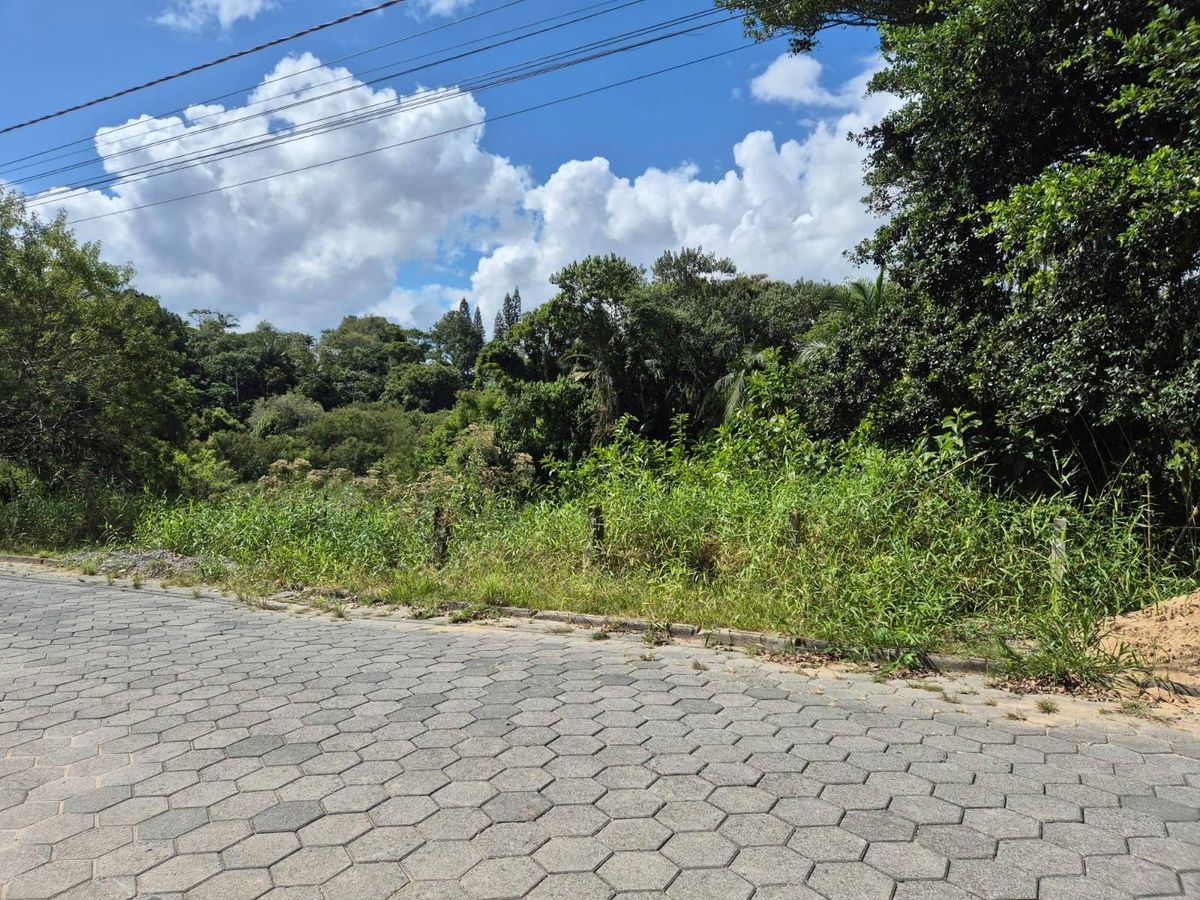 Lote/Terreno à Venda, Coloninha - Gaspar - Lote/Terreno em Coloninha, Gaspar - à venda - Tomio Imoveis Ltda