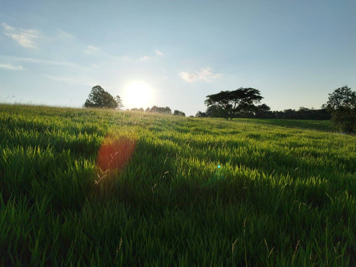 Terreno com 1.013M2 no Condomínio Terra Caxambú - Lote/Terreno em Caxambu, Jundiaí - à venda - Entry Imob