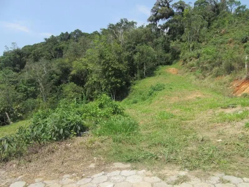 Terreno Urbano - Terrenos em Fundo Canoas, Rio do Sul - à venda - Jardim Sul Imobiliária