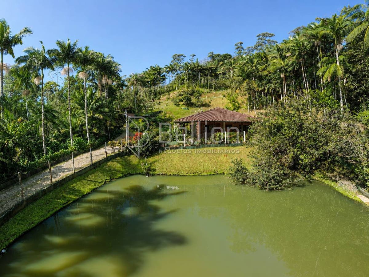 Sítio à Venda em Timbó com 30.000 m², Lagoas e Nascente - Sítio - à venda - Bellion Negocios Imobiliarios LTDA