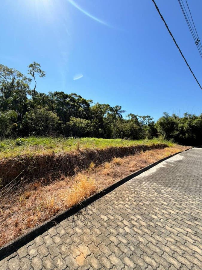 Oportunidade Única: Lotes de 300m² com Preço Imbatível - Lote/Terreno em Rio Novo, Corupá - à venda - CONSTRUTORA O.R. LTDA