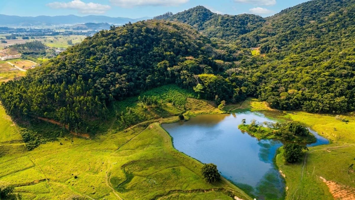 Terreno à Venda, Santa Terezinha - Gaspar - Terreno em Santa Terezinha, Gaspar - à venda - Tomio Imoveis Ltda