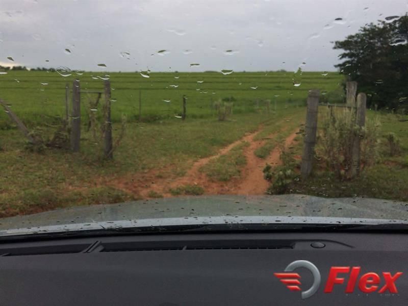 Dirceu (Distrito de Marilia) - Rural › Sítio - Sítio em Dirceu (Distrito de Marilia), Marília - à venda - FLEX CONSULTORIA IMOBILIÁRIA LTDA