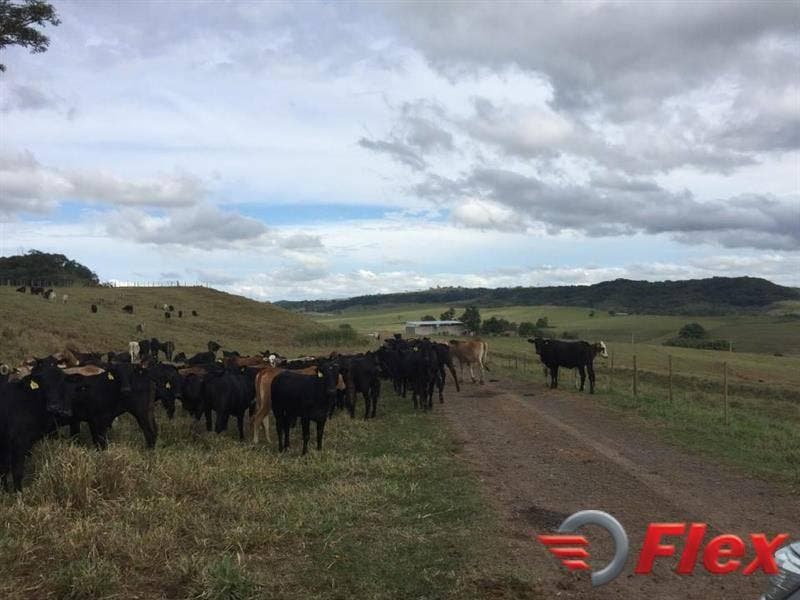 Marília - Rural › Fazenda - Fazenda em Marília, Marília - à venda - FLEX CONSULTORIA IMOBILIÁRIA LTDA