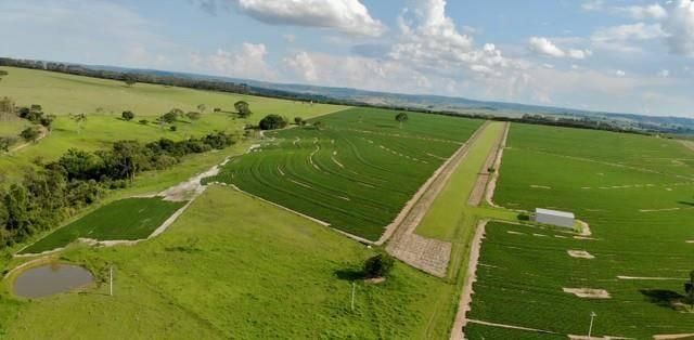 Avencas (Avencas) - Rural › Sítio - Sítio em Avencas (Avencas), Marília - à venda - FLEX CONSULTORIA IMOBILIÁRIA LTDA