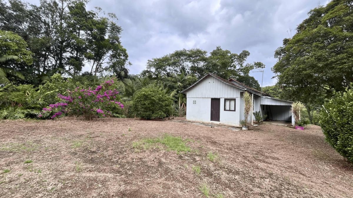 Sítio, Centro - Massaranduba - Sítio em Centro, Massaranduba - à venda - MARIAN IMÓVEIS