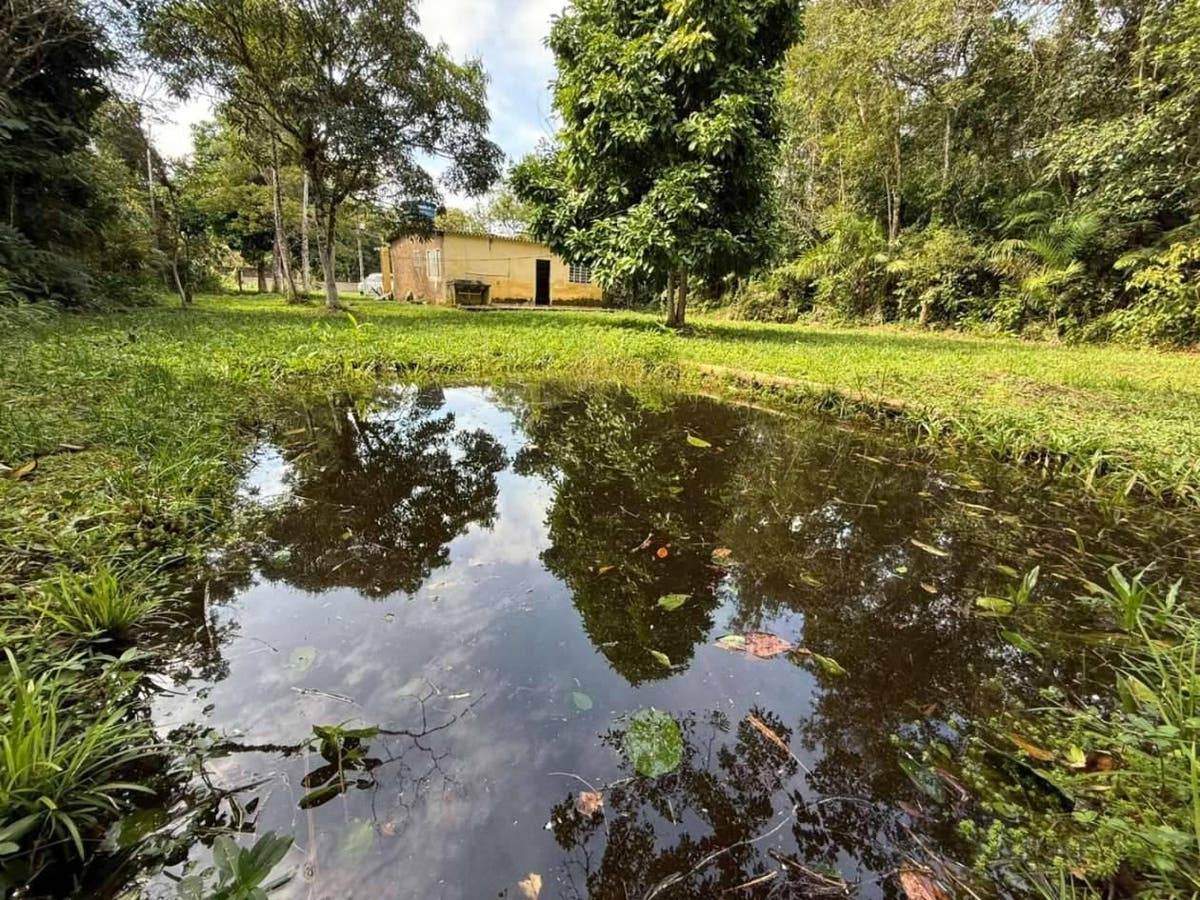 Casa com 2 quartos à Venda, Coronel - Itanhaém - Casa em Coronel, Itanhaém - à venda - Oliveira Filx Imóveis