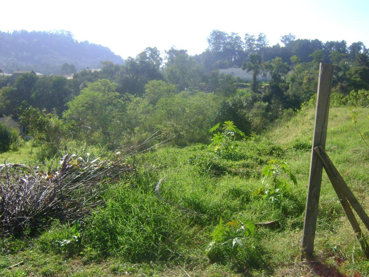 Terreno para vender no Santo Antônio - Ituporanga SC - Lote/Terreno em Ituporanga - à venda - SCHEFFER & NASCIMENTO NEGOCIOS IMOBILIARIOS LTDA