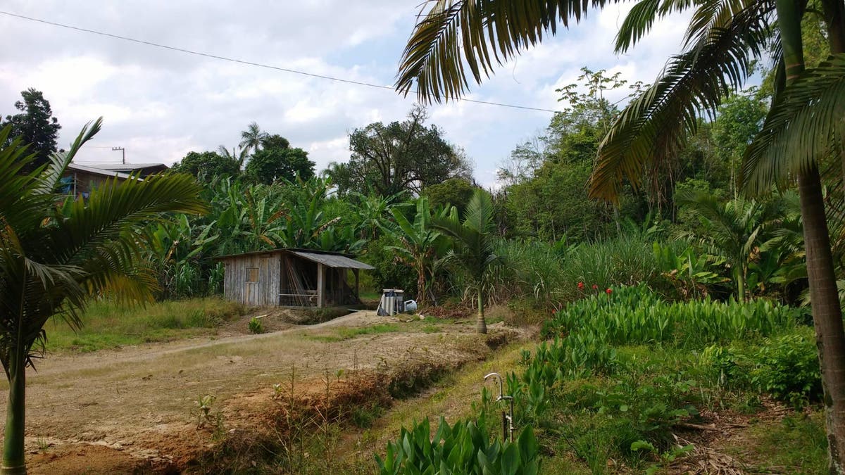 TERRENO CORTICEIRA - Lote/Terreno em Corticeira, Guaramirim - à venda - Cottage Imóveis ~ Creci 5946J