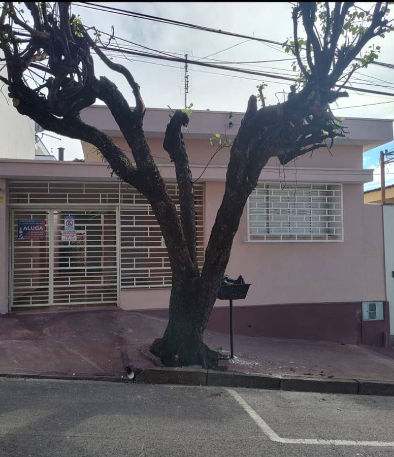 Casa com 3 quartos à Venda, Centro - São João da Boa Vista - Casa em Centro, São João da Boa Vista - à venda - Porto Seguro Imóveis