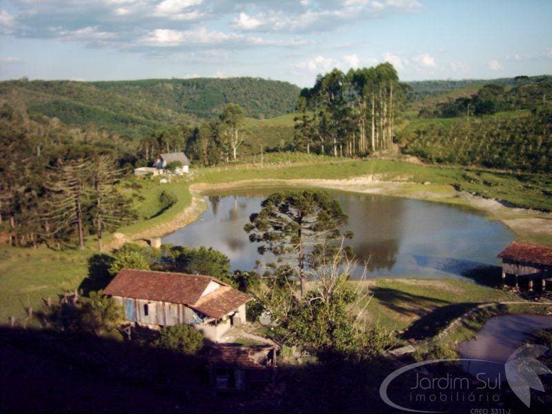 Sítio - Taió - Terreno Rural / Sítio em Taió - à venda - Jardim Sul Imobiliária
