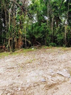 Lote/Terreno à Venda, Suarão - Itanhaém - Lote/Terreno em Suarão, Itanhaém - à venda - Oliveira Filx Imóveis