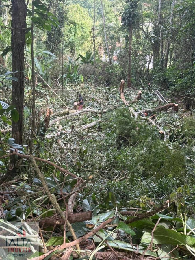 Terreno à Venda no Alto da Praia Velha – Excelente Oportunidade! - Lote/Terreno em Itaguá, Ubatuba - à venda - IALTA IMOVEIS LTDA