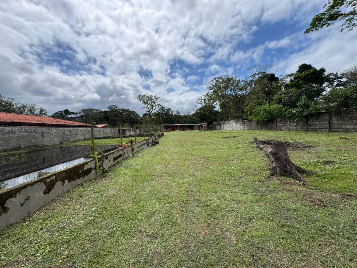 Casa com 4 quartos à Venda, São Fernando - Itanhaém - Casa em São Fernando, Itanhaém - à venda - Oliveira Filx Imóveis