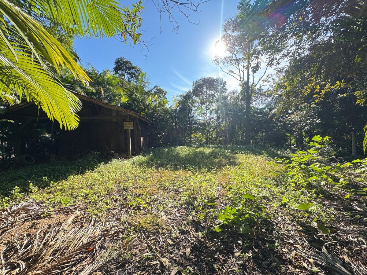 Chácara com Natureza Exuberante | Bairro Vila Amizade | Guaramirim - Chácara em Vila Amizade, Guaramirim - à venda - MEGA Empreendimentos Imobiliários