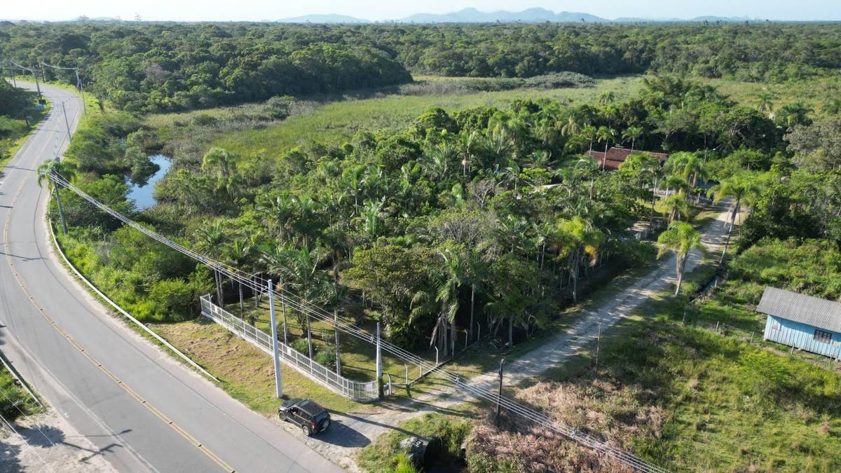Lote/Terreno - Lote/Terreno em PRAIA DO ERVINO, São Francisco do Sul - à venda - APA ADMINISTRADORA DE BENS LTDA