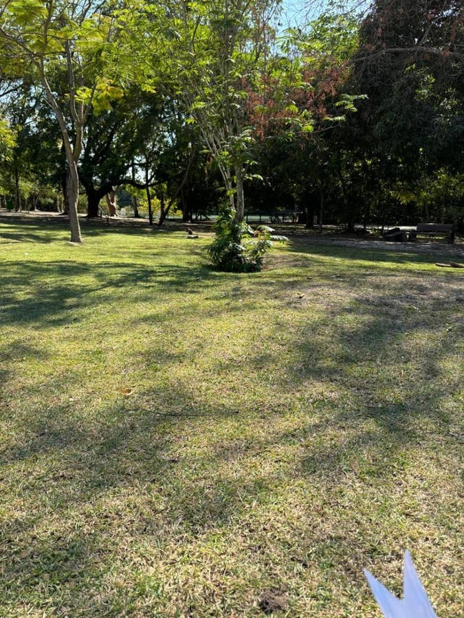 Vantagens de Morar no Aquarela Brasil em Sinop: tudo que você precisa saber antes de alugar