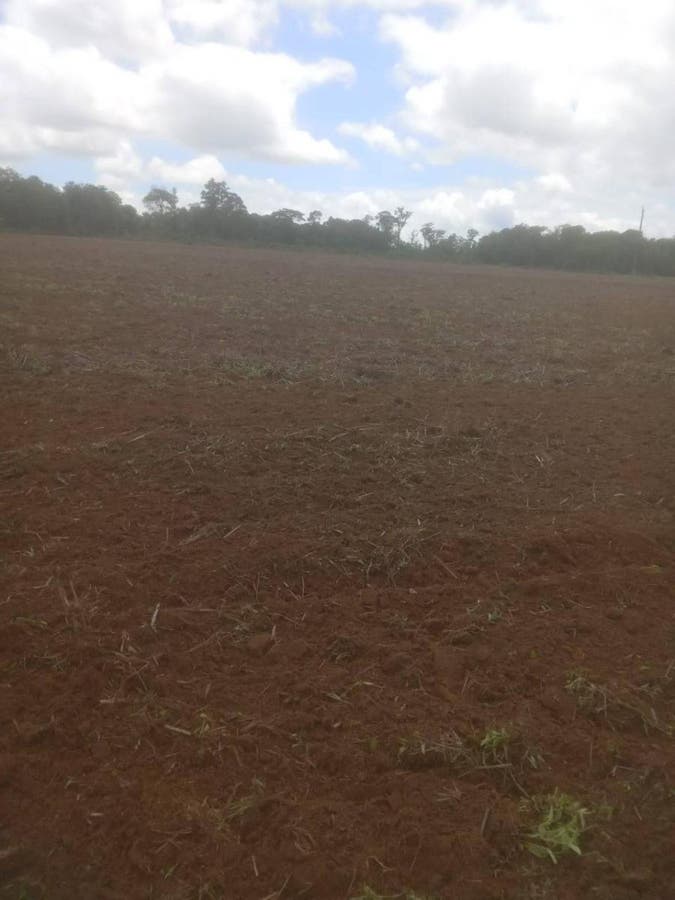 Lote/Terreno em Zona Rural, Sorriso