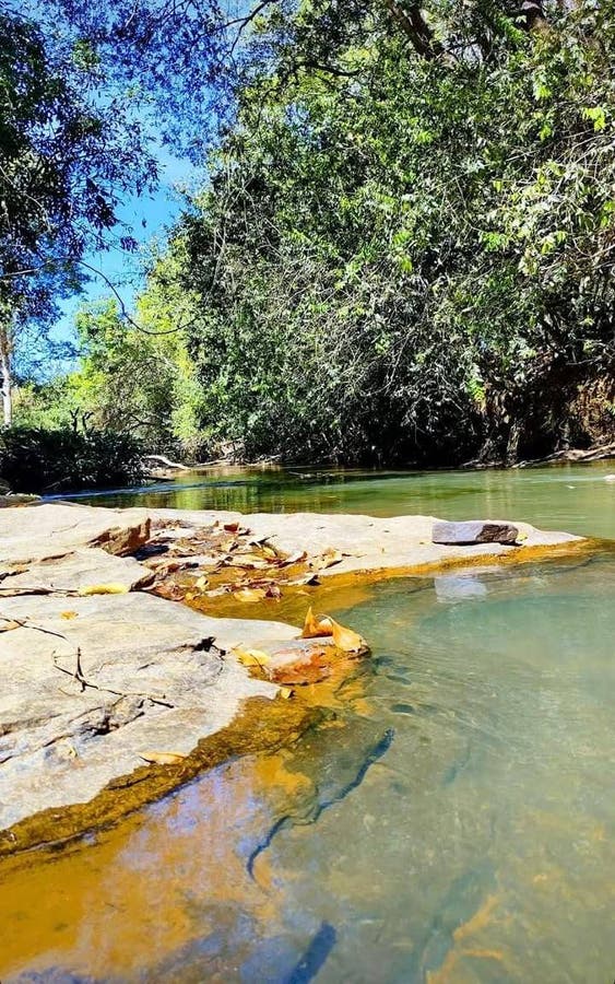 Chácara em Aragoiânia - à venda - Correia Imóveis