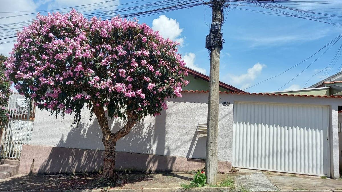 Casa com 2 Quartos à Venda, Jardim Santa Rosália - Poços de Caldas - Casa em Jardim Santa Rosália, Poços de Caldas - à venda - L. Queiroz Correa Negócios Imobiliários Ltda