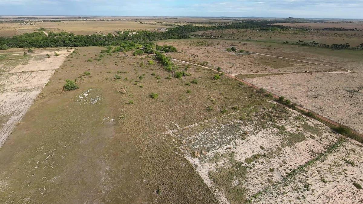 Sítio, Pricumã - Boa Vista - Sítio em Gleba Cauamé, Boa Vista - à venda - SONHE E REALIZE IMOBILIARIA LTDA