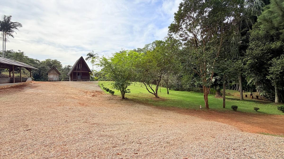 LINDO SÍTIO EM MASSARANDUBA - Sítio em Massaranduba - à venda - Brisa Sul Imóveis