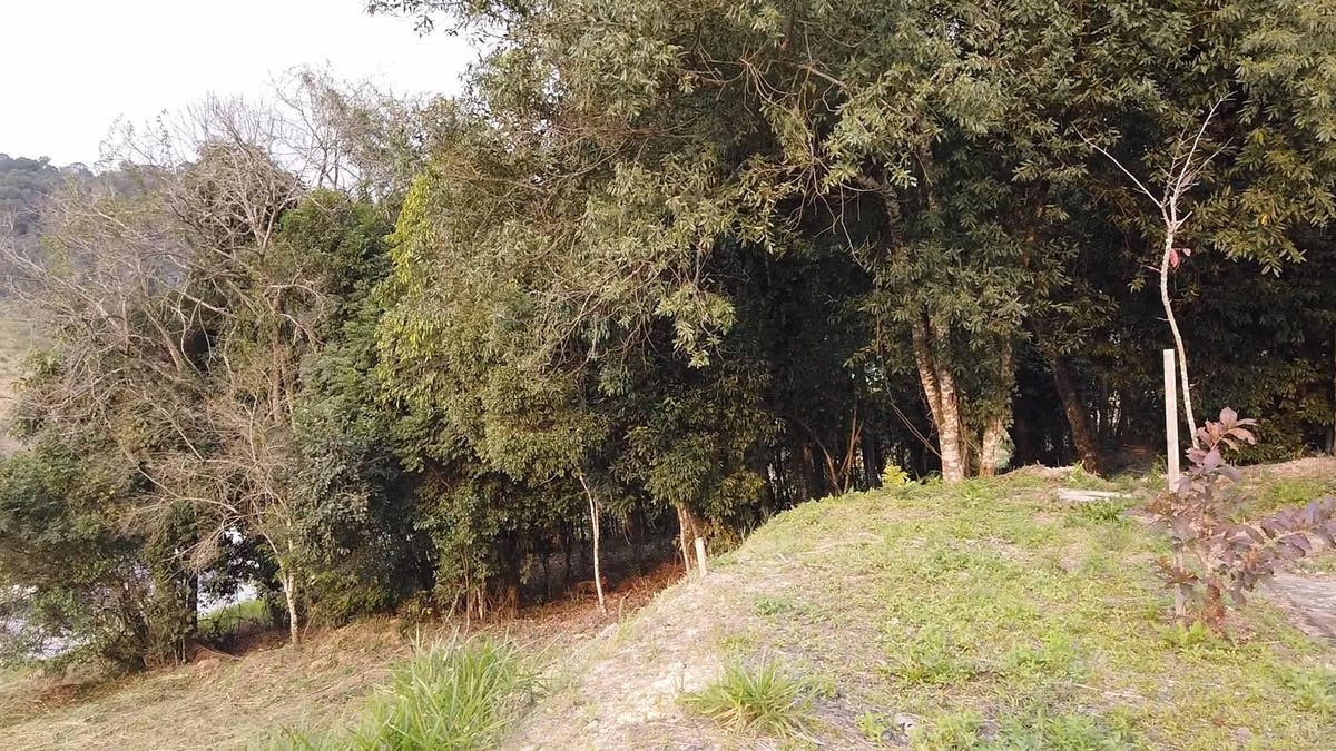 Área de Bosque à venda na região Central de Ituporanga - SC - Lote/Terreno em Ituporanga - à venda - SCHEFFER & NASCIMENTO NEGOCIOS IMOBILIARIOS LTDA