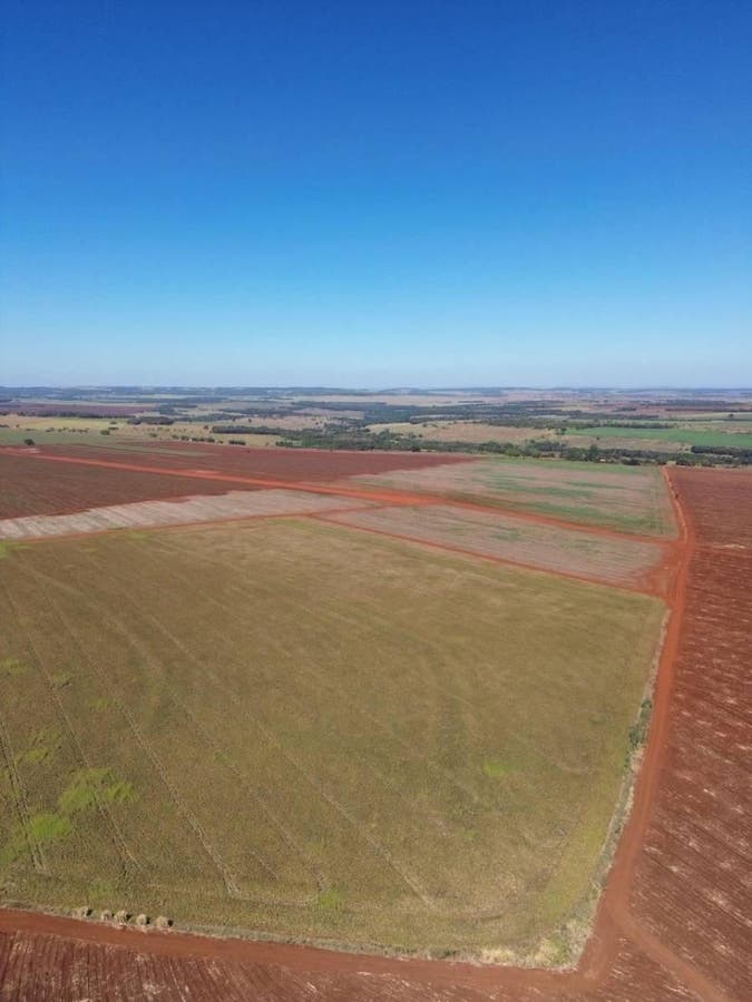 Fazenda - Itumbiara - Fazenda em Itumbiara - à venda - Group Viga Negócios Imobiliários Ltda