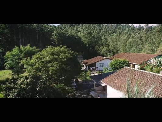 Atenção madeireiros e pecuaristas! Ótima oportunidade de lucro em Lageado Águas Negras Ituporanga - Terreno em Ituporanga - à venda - SCHEFFER & NASCIMENTO NEGOCIOS IMOBILIARIOS LTDA